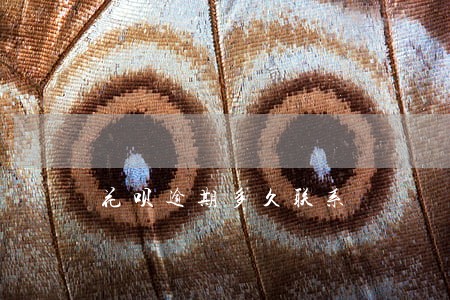 花呗逾期多久联系 花呗逾期多久联系