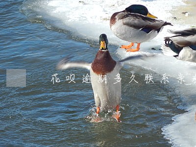 花呗逾期多久联系亲友 花呗逾期多久联系亲友