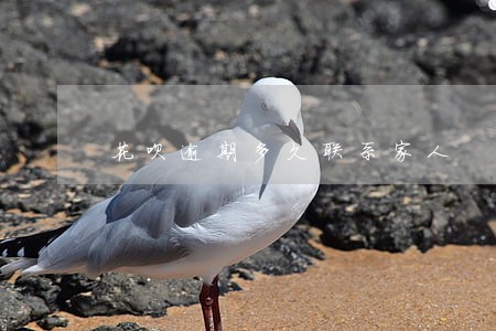 花呗逾期多久联系家人 花呗逾期多久联系家人