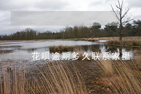 花呗逾期多久联系家里 花呗逾期多久联系家里