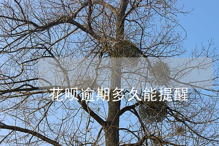 花呗逾期多久能提醒 花呗逾期多久能提醒