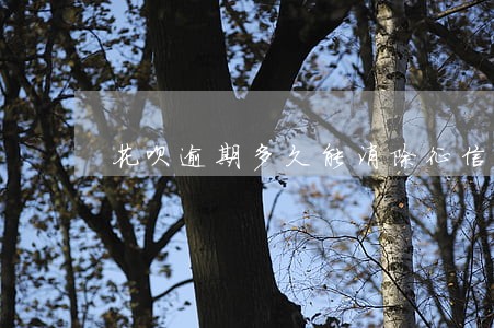 花呗逾期多久能消除征信 花呗逾期多久能消除征信