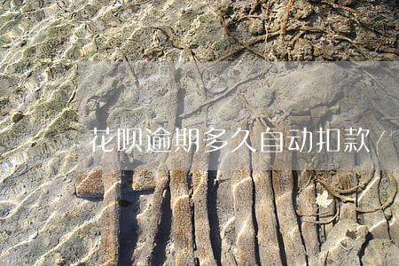 花呗逾期多久自动扣款 花呗逾期多久自动扣款