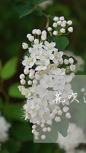 花呗逾期多久芝麻分才能恢复 花呗逾期多久芝麻分才能恢复
