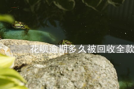 花呗逾期多久被回收全款 花呗逾期多久被回收全款