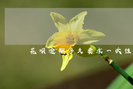 花呗逾期多久要求一次性还清 花呗逾期多久要求一次性还清