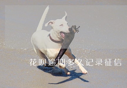 花呗逾期多久记录征信 花呗逾期多久记录征信