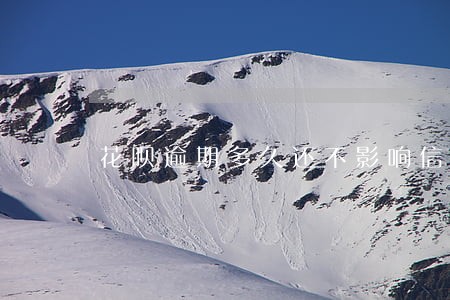 花呗逾期多久还不影响信用 花呗逾期多久还不影响信用
