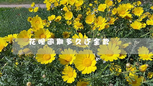 花呗逾期多久还全款 花呗逾期多久还全款