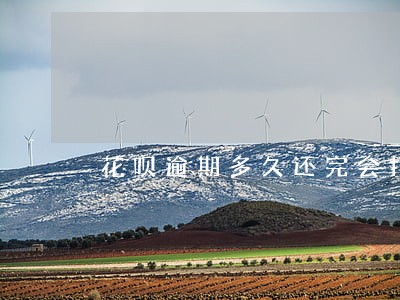 花呗逾期多久还完会打电话吗