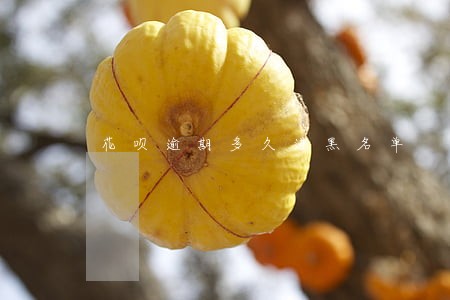 花呗逾期多久进黑名单 花呗逾期多久进黑名单