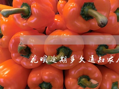 花呗逾期多久通知家人 花呗逾期多久通知家人
