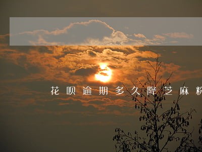 花呗逾期多久降芝麻粉 花呗逾期多久降芝麻粉