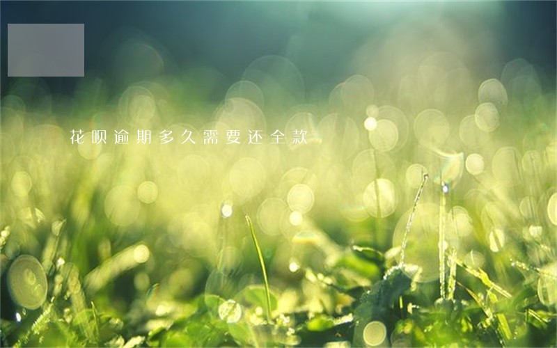 花呗逾期多久需要还全款 花呗逾期多久需要还全款
