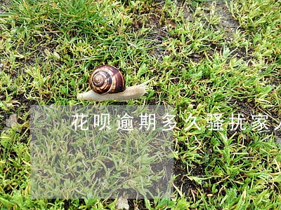 花呗逾期多久骚扰家人 花呗逾期多久骚扰家人