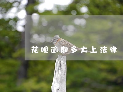 花呗逾期多大上法律 花呗逾期多大上法律