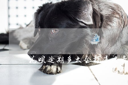 花呗逾期多大会打通讯录 花呗逾期多大会打通讯录
