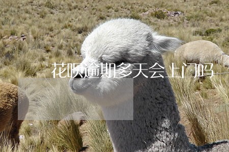 花呗逾期多天会上门吗 花呗逾期多天会上门吗