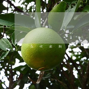 花呗逾期多少会上门催收 花呗逾期多少会上门催收