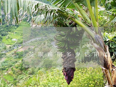 花呗逾期多少信用能开通 花呗逾期多少信用能开通