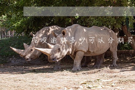 花呗逾期多少可以分期买房 花呗逾期多少可以分期买房