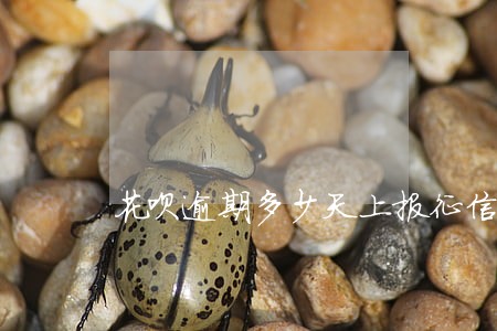 花呗逾期多少天上报征信 花呗逾期多少天上报征信