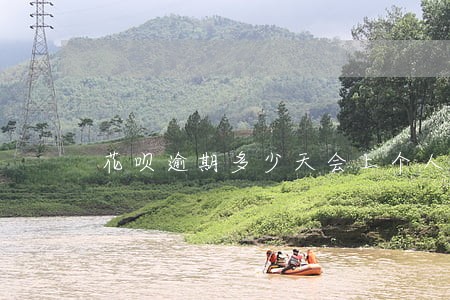 花呗逾期多少天会上个人征信 花呗逾期多少天会上个人征信