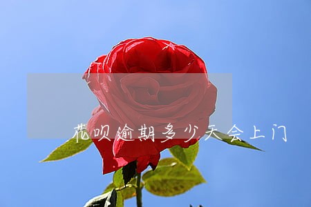 花呗逾期多少天会上门 花呗逾期多少天会上门