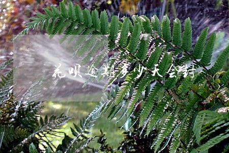 花呗逾期多少天会封 花呗逾期多少天会封