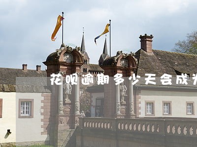 花呗逾期多少天会成为黑户啊 花呗逾期多少天会成为黑户啊
