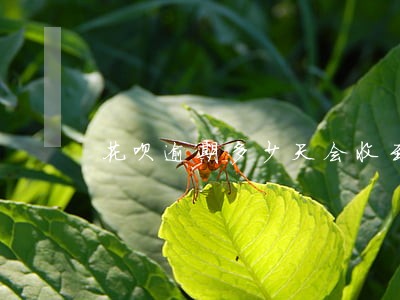 花呗逾期多少天会收到律师函 花呗逾期多少天会收到律师函