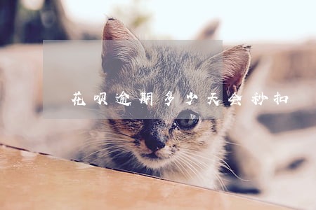 花呗逾期多少天会秒扣 花呗逾期多少天会秒扣