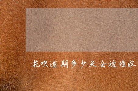 花呗逾期多少天会被催收 花呗逾期多少天会被催收