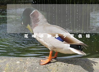 花呗逾期多少天会锁 花呗逾期多少天会锁