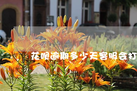 花呗逾期多少天客服会打电话