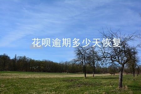 花呗逾期多少天恢复 花呗逾期多少天恢复