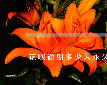 花呗逾期多少天永久关闭
