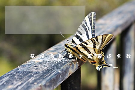花呗逾期多少天要还全款 花呗逾期多少天要还全款