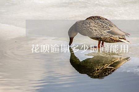 花呗逾期多少时间能用 花呗逾期多少时间能用