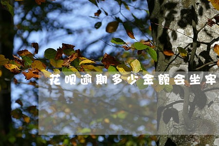 花呗逾期多少金额会坐牢 花呗逾期多少金额会坐牢