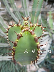 花呗逾期多少金额会影响车贷 花呗逾期多少金额会影响车贷