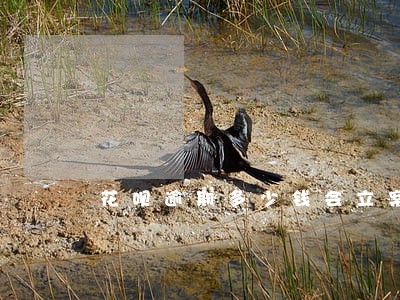 花呗逾期多少钱会立案 花呗逾期多少钱会立案