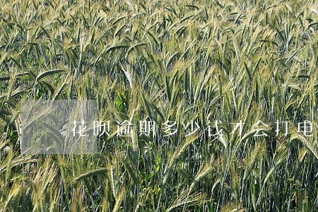 花呗逾期多少钱才会打电话