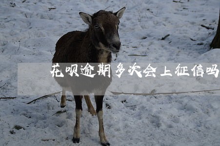 花呗逾期多次会上征信吗 花呗逾期多次会上征信吗