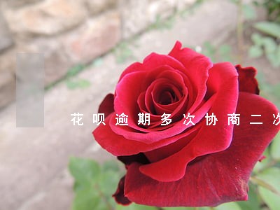 花呗逾期多次协商二次分期 花呗逾期多次协商二次分期