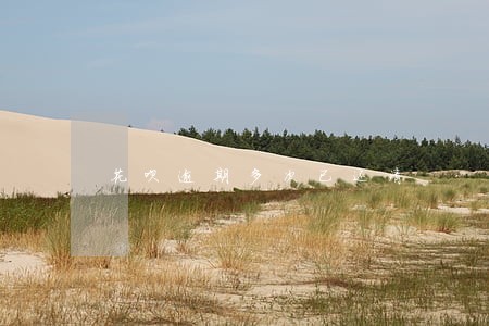 花呗逾期多次已还清