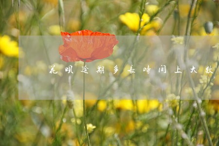 花呗逾期多长时间上大数据 花呗逾期多长时间上大数据