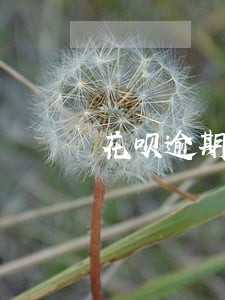 花呗逾期多长时间上征信 花呗逾期多长时间上征信