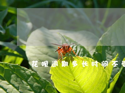 花呗逾期多长时间不受影响 花呗逾期多长时间不受影响