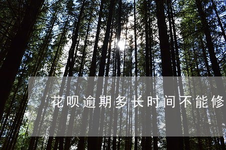 花呗逾期多长时间不能修复 花呗逾期多长时间不能修复